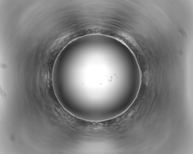 X0000091171111200708091159