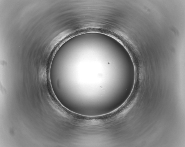 X0000091171113200708091159
