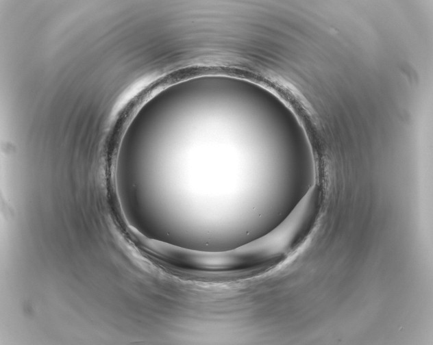 X0000091171114200708091159