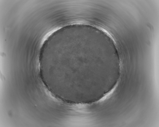 X0000091171117200708091159