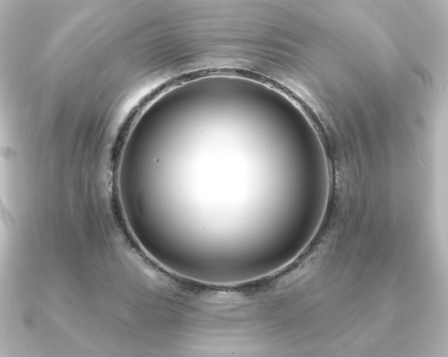 X0000091171119200708091159