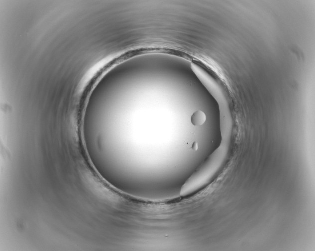 X0000091171120200708091159