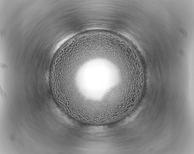 X0000091171121200708091159