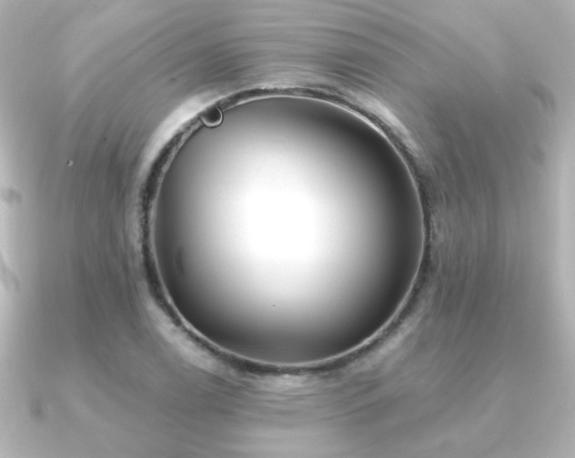 X0000091171122200708091159