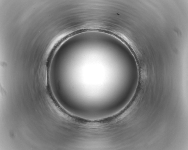 X0000091171123200708091159
