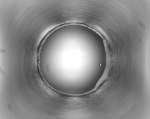 X0000091171124200708091159