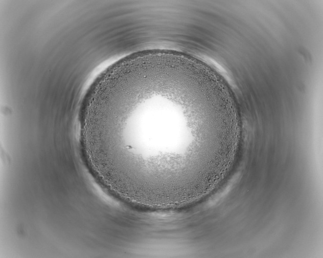 X0000091171125200708091159