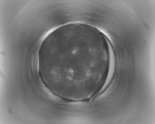 X0000091171127200708091159