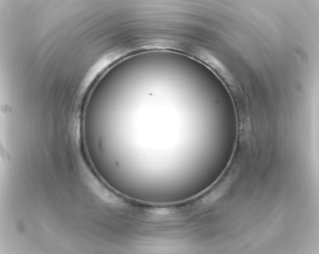 X0000091171130200708091159