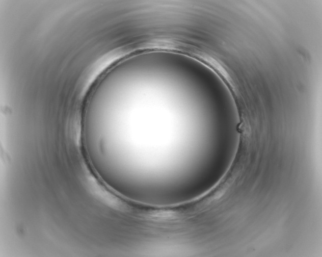 X0000091171131200708091159