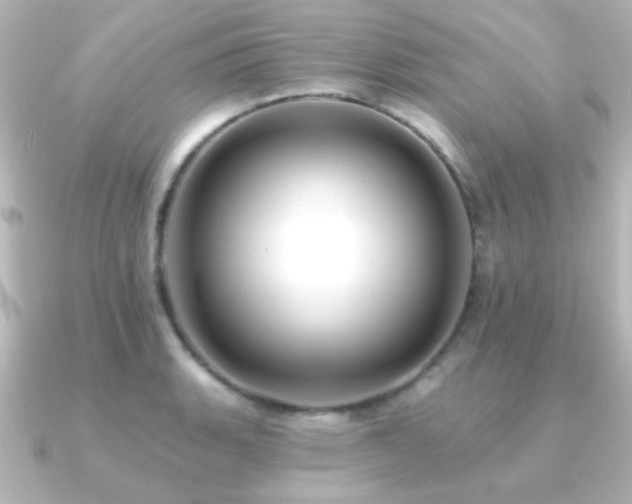 X0000091171135200708091200