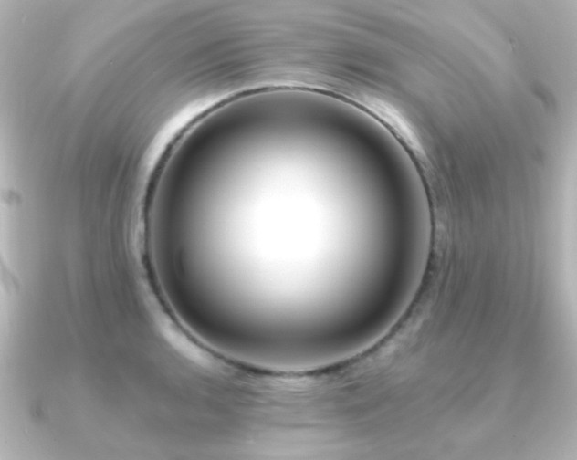 X0000091171136200708091200