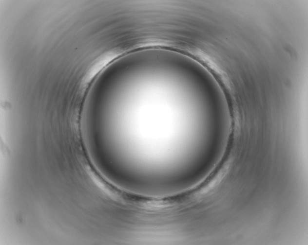 X0000091171137200708091200