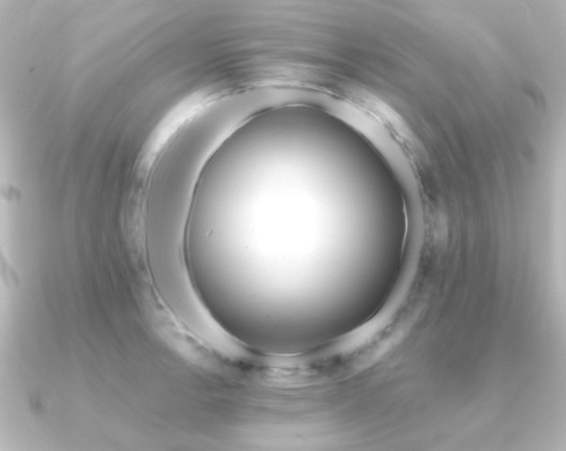 X0000091171138200708091200