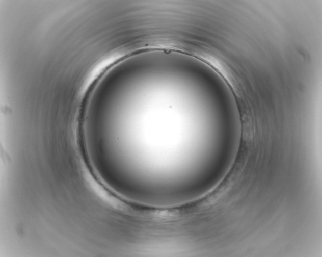 X0000091171139200708091200