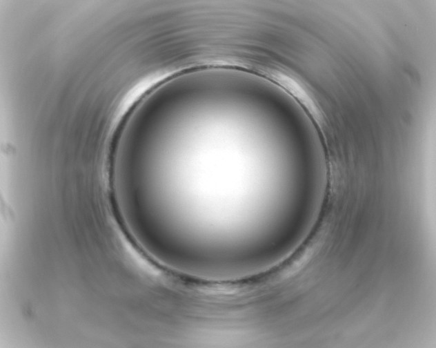 X0000091171141200708091200