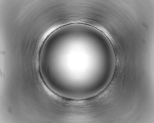 X0000091171143200708091200