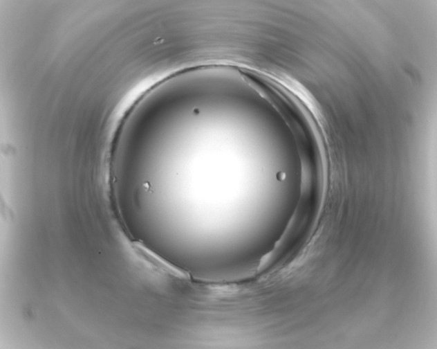 X0000091171144200708091200