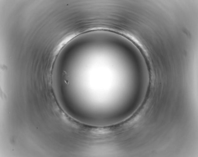 X0000091171145200708091200