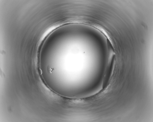 X0000091171147200708091200