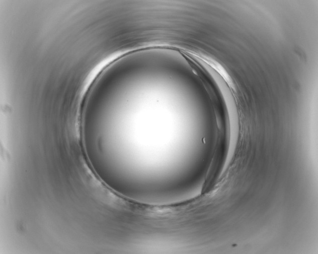 X0000091171148200708091200