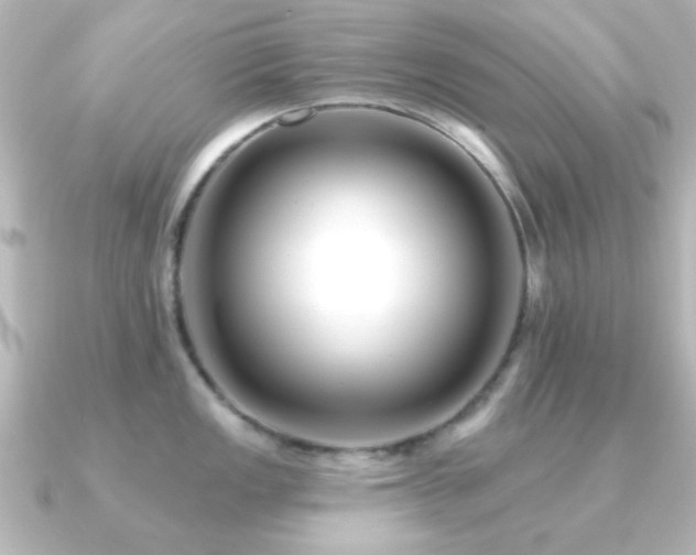 X0000091171149200708091200
