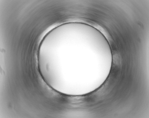 X0000091171150200708091200