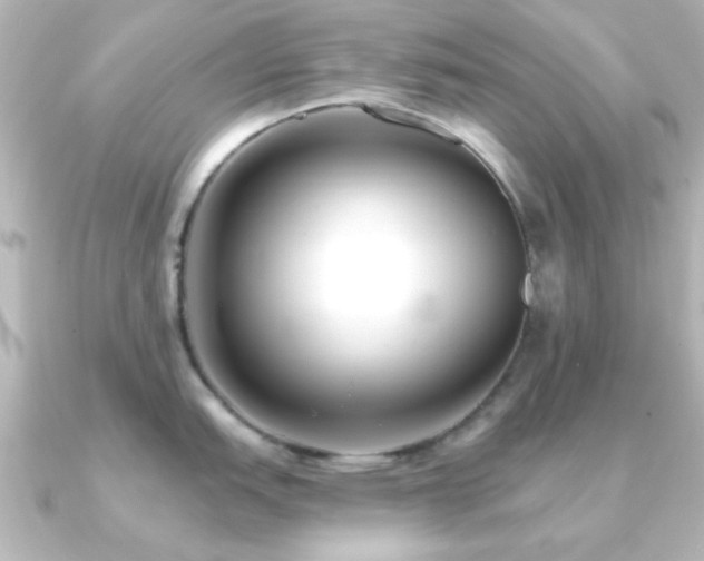 X0000091171151200708091200
