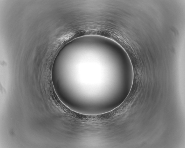 X0000091171153200708091159