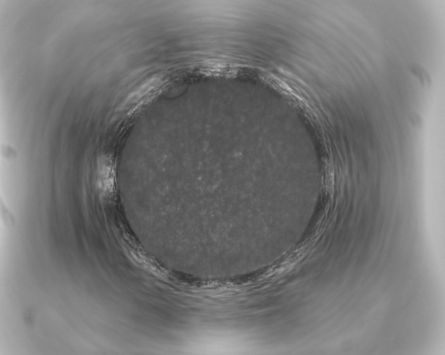 X0000091171154200708091159