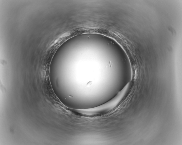 X0000091171157200708091159