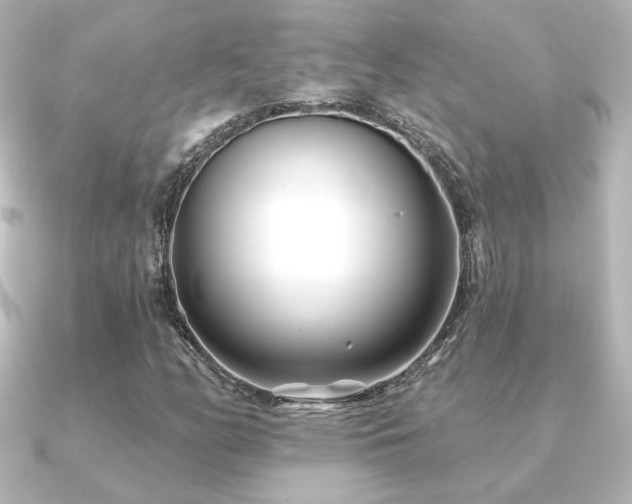 X0000091171158200708091159