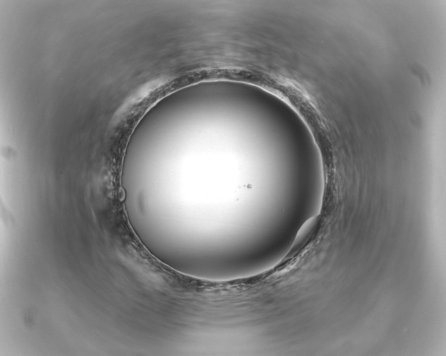 X0000091171159200708091159