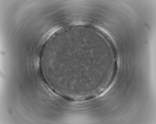 X0000091171161200708091159