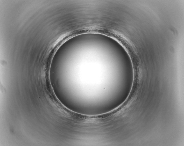 X0000091171162200708091159