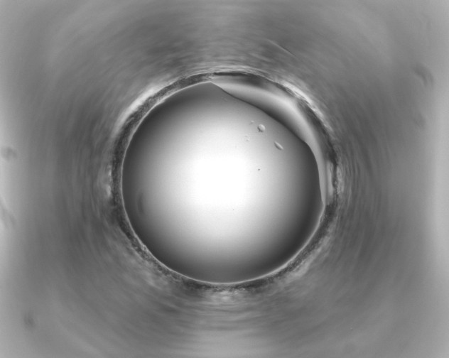 X0000091171165200708091159