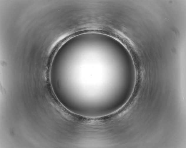 X0000091171166200708091159