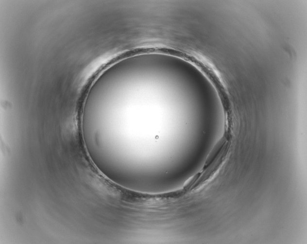 X0000091171167200708091159