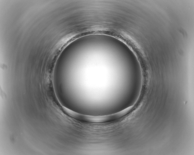 X0000091171169200708091159