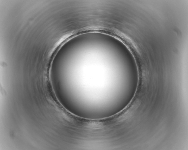 X0000091171170200708091159