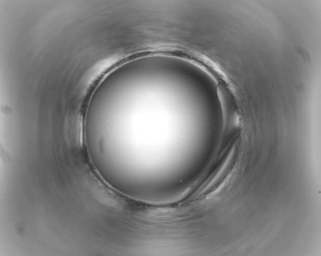X0000091171171200708091159