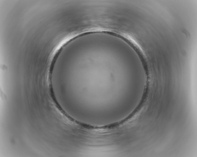 X0000091171173200708091159