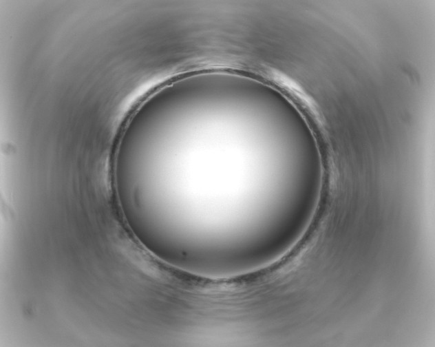 X0000091171174200708091159