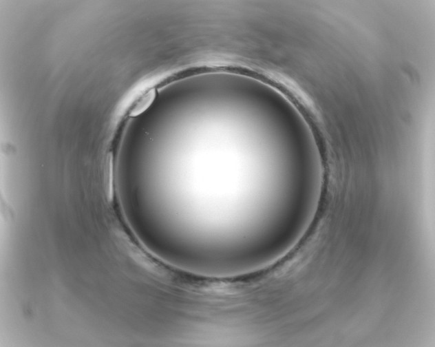 X0000091171175200708091159