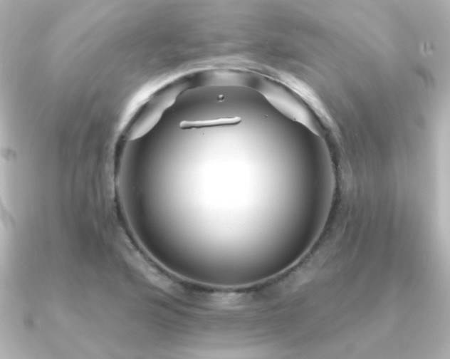 X0000091171176200708091159