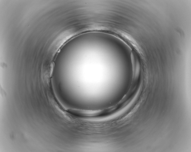 X0000091171177200708091159