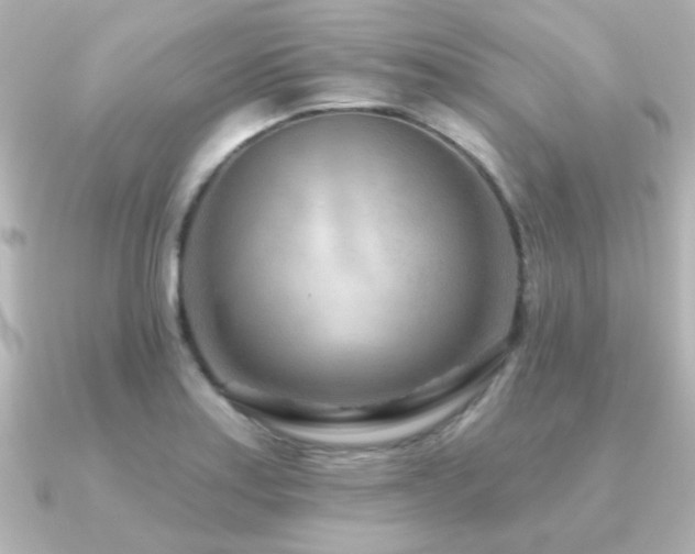 X0000091171179200708091159