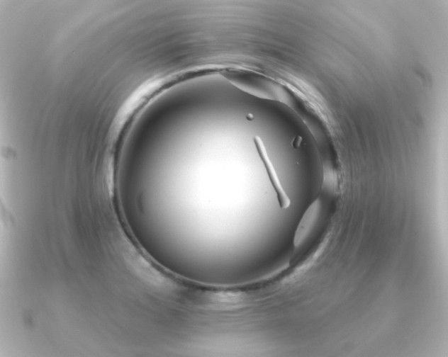 X0000091171180200708091159