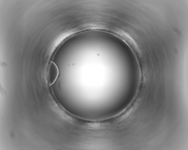 X0000091171182200708091159