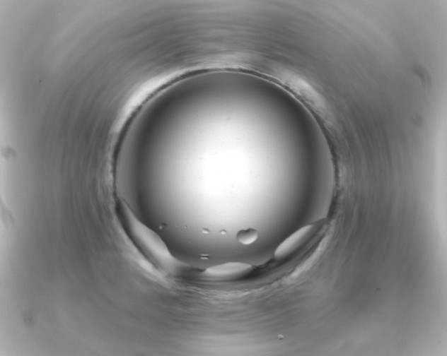 X0000091171184200708091159